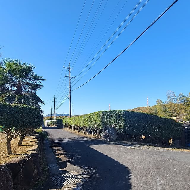 Rubiconさんの部屋