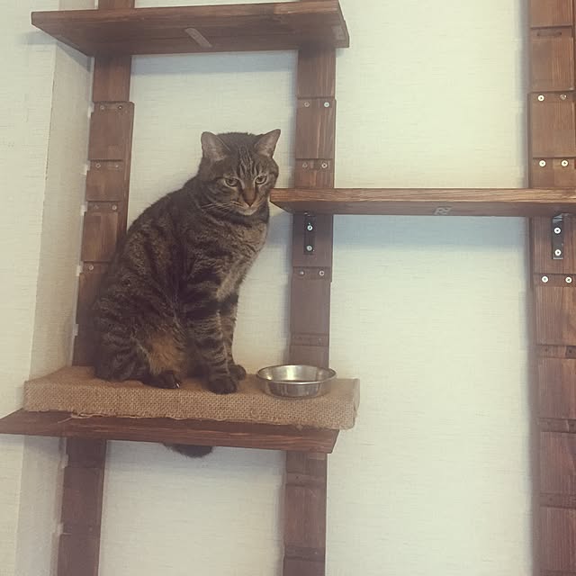 mayuさんの実例写真