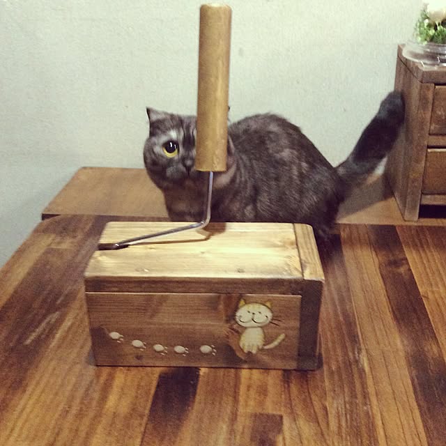 norimokuさんの実例写真