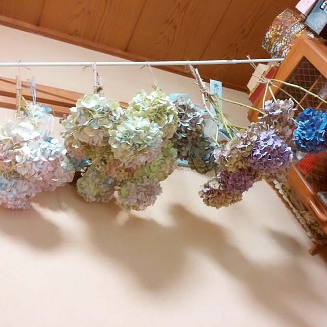 Mikaさんの実例写真