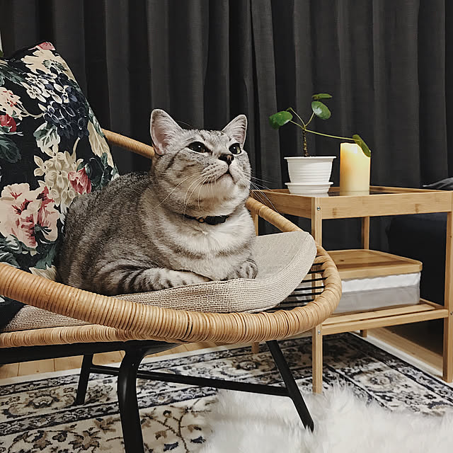 ineko_kさんの実例写真