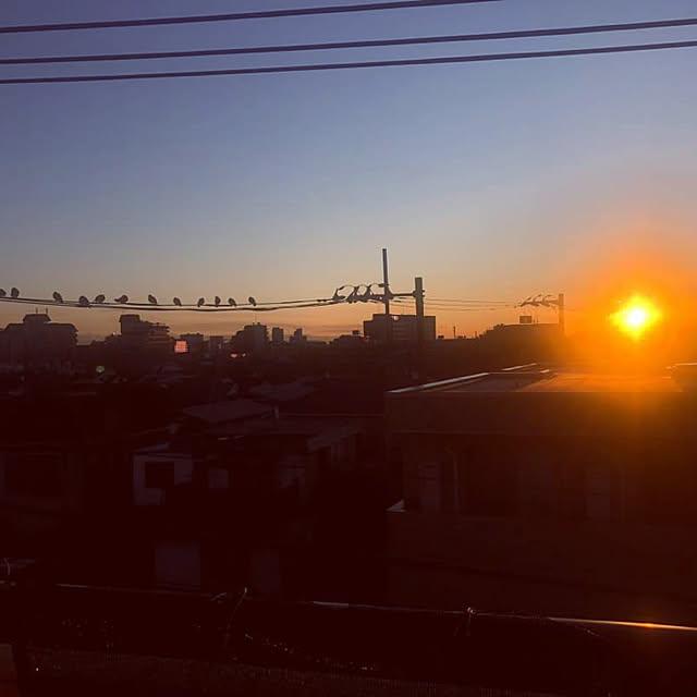 TETSUKO100さんの実例写真