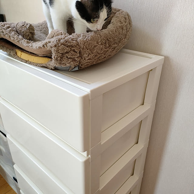 blue_oasisさんの実例写真