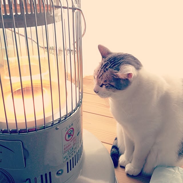 Tomo3さんの実例写真