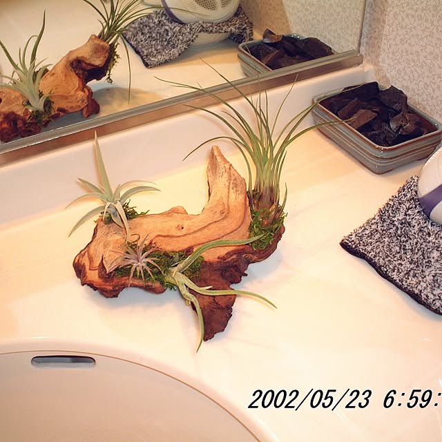hiro1128さんの実例写真