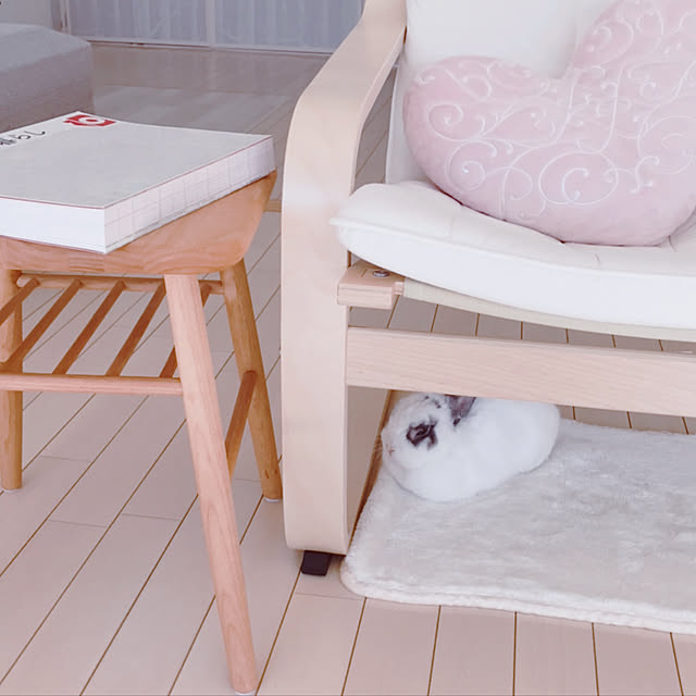 luluさんの実例写真