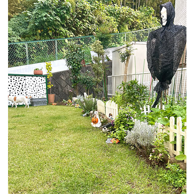 kittyさんの部屋