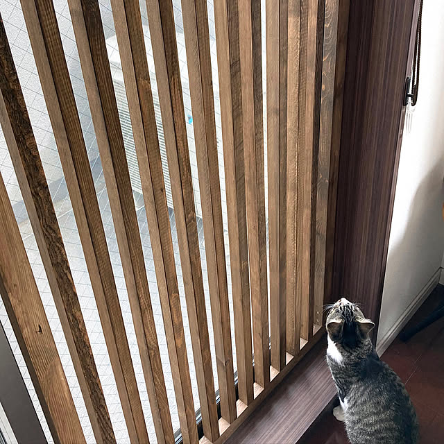 cat_fenceさんの実例写真