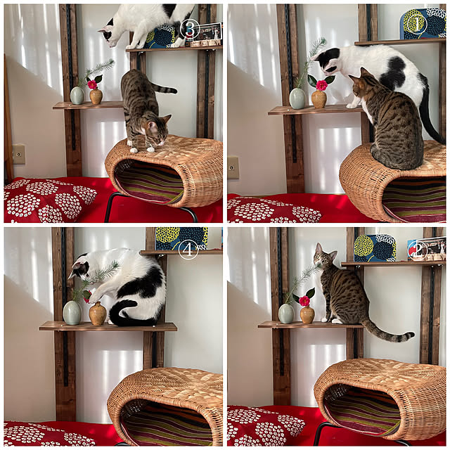 nobikoさんの実例写真