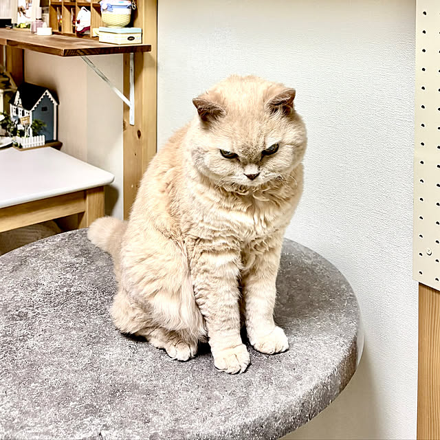 naokoさんの部屋