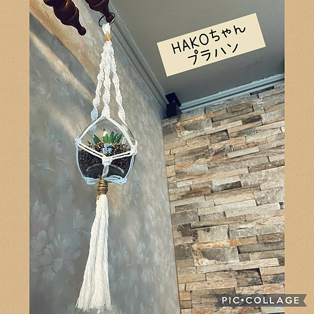 izuさんの実例写真