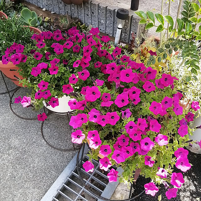 VERANDARJUNさんの実例写真