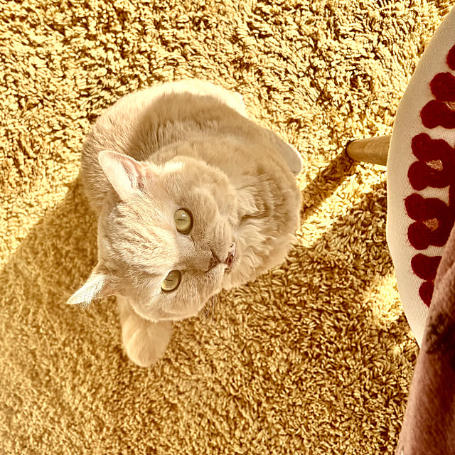 naokoさんの部屋