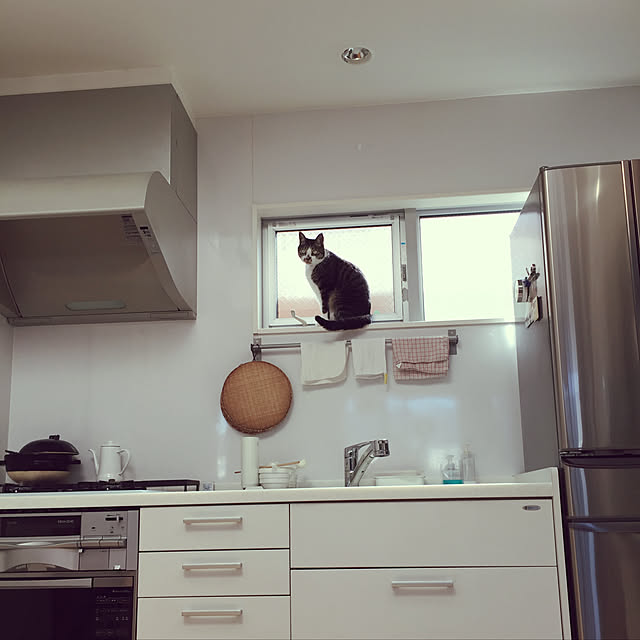JUENさんの実例写真