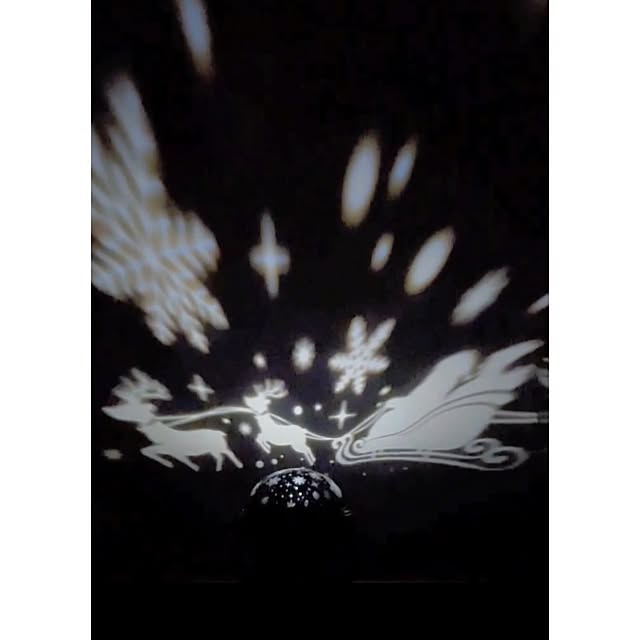 waniwaniさんの部屋