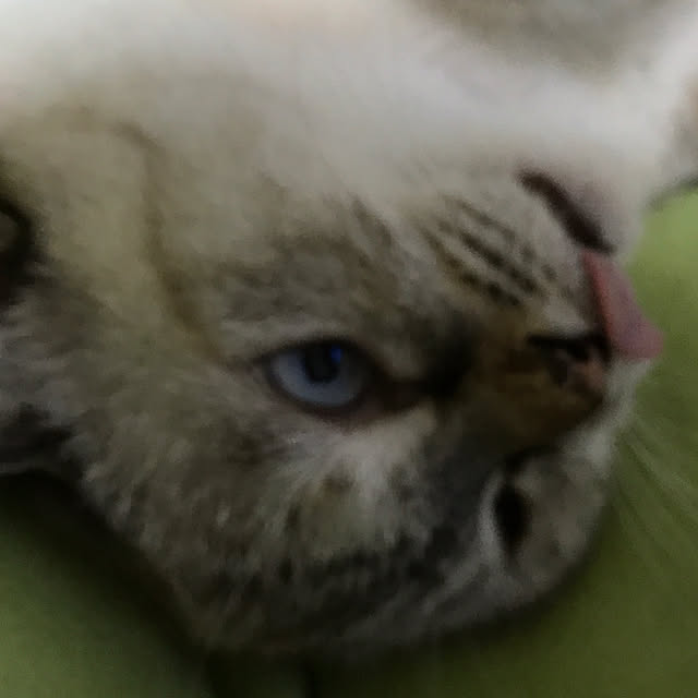 nachuさんの実例写真