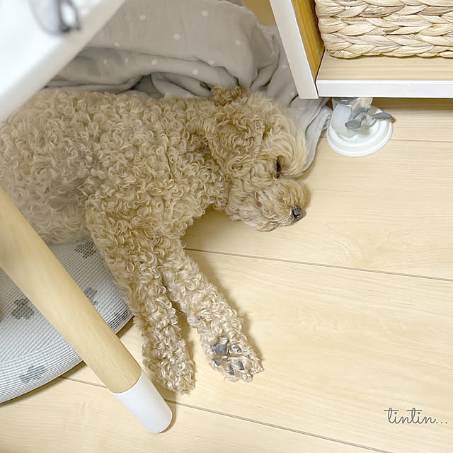 tintinさんの実例写真