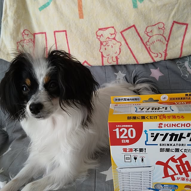 lovelyyuzuさんの実例写真