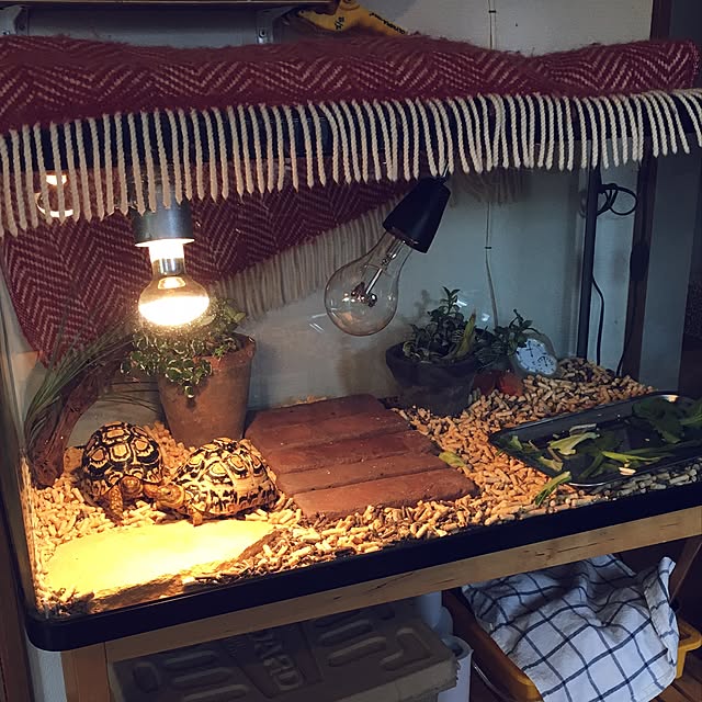 kurozzzさんの実例写真