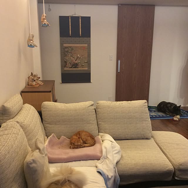 cocochiさんの実例写真