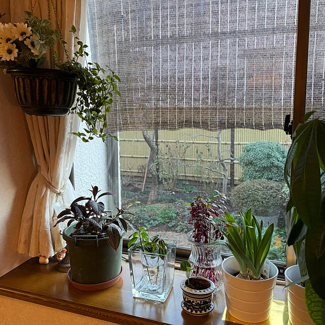 mamizaさんの実例写真