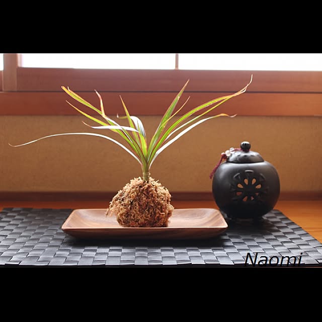 naomi71さんの実例写真