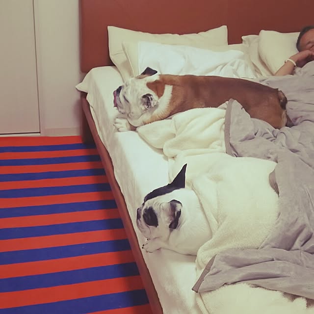 panchobiさんの実例写真