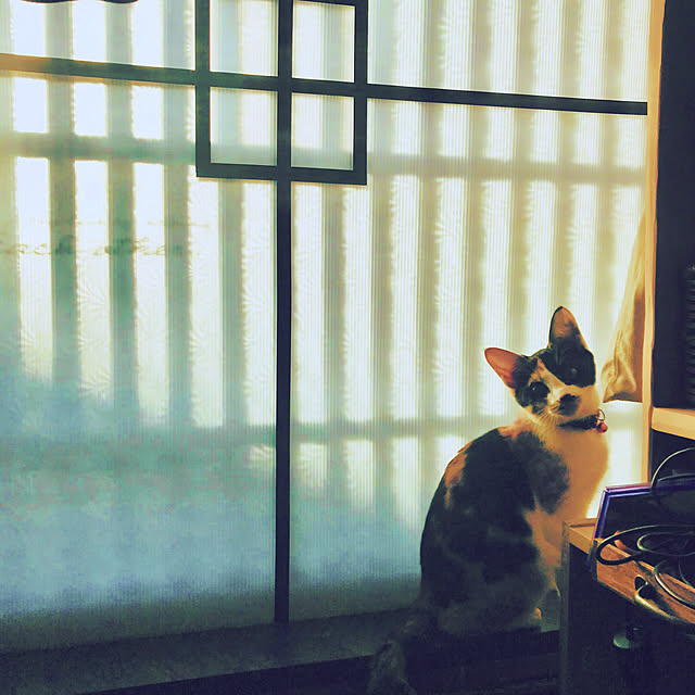 maroさんの実例写真