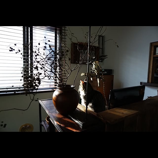 jnkaiさんの実例写真
