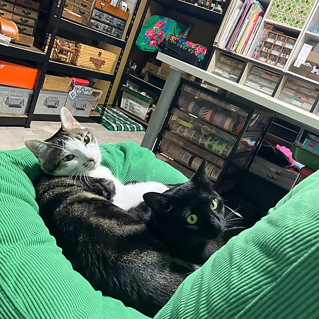 AMEIROさんの部屋
