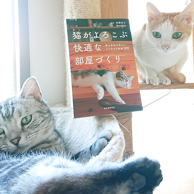 asmaさんの実例写真