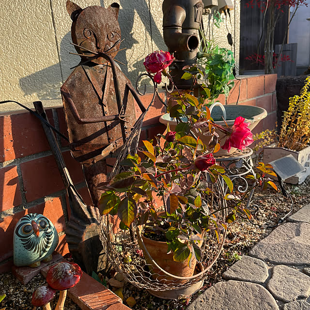 shin0719さんの実例写真