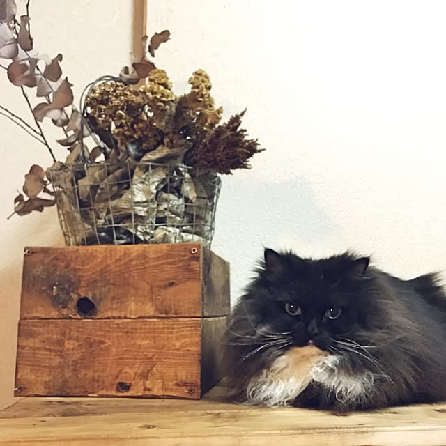 mucc08さんの実例写真
