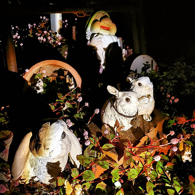 sakurakoさんの実例写真