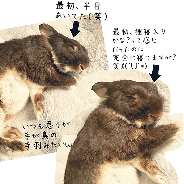 mo-nosukeさんの実例写真