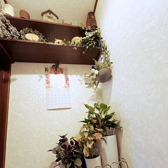 cota2さんの部屋
