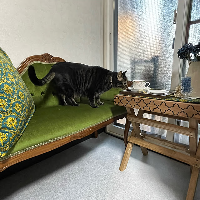 momocchiさんの部屋