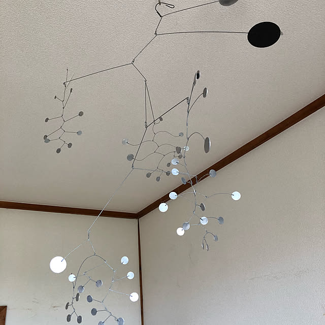 壁/天井のインテリア実例 - 2020-01-18 19:03:32