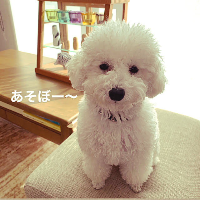 BUNさんの実例写真