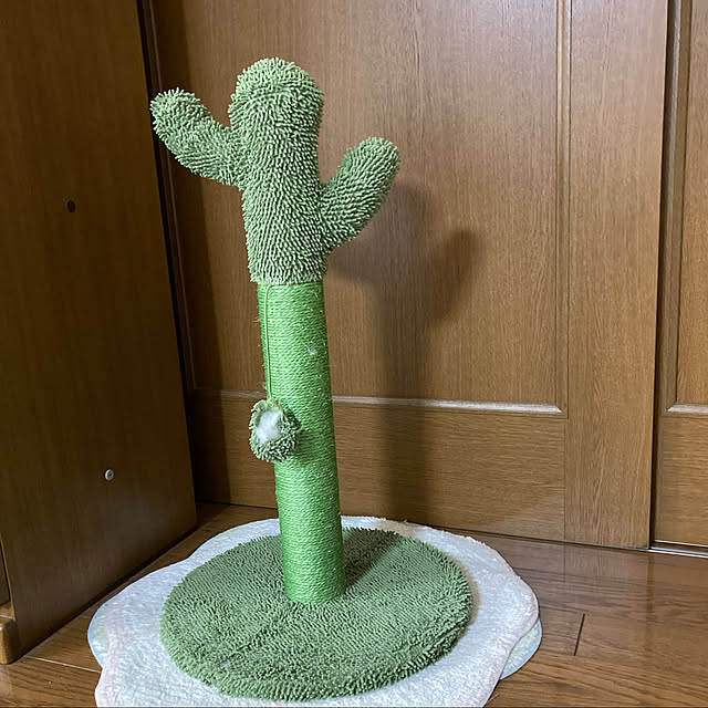 kirakirahoshiさんの実例写真