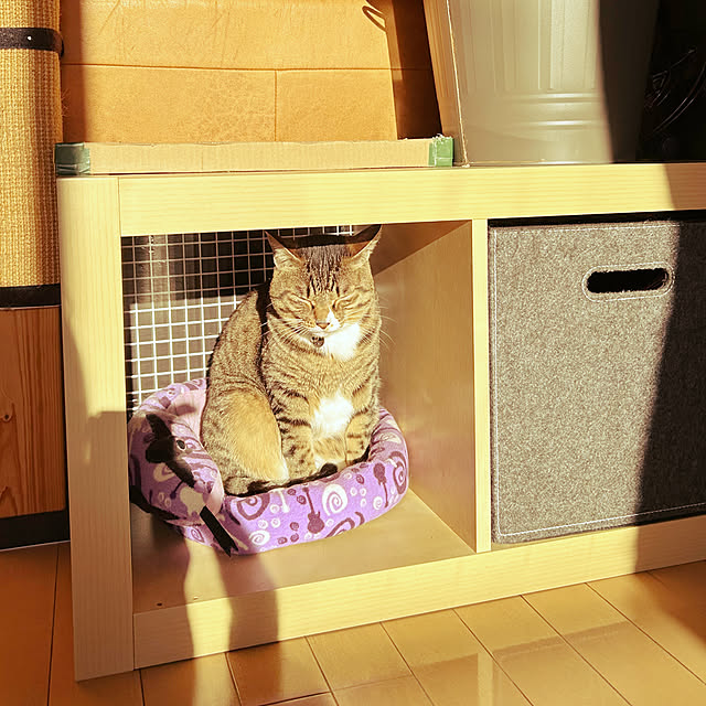 suemonta14さんの部屋