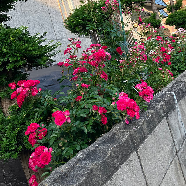 mottimoさんの部屋