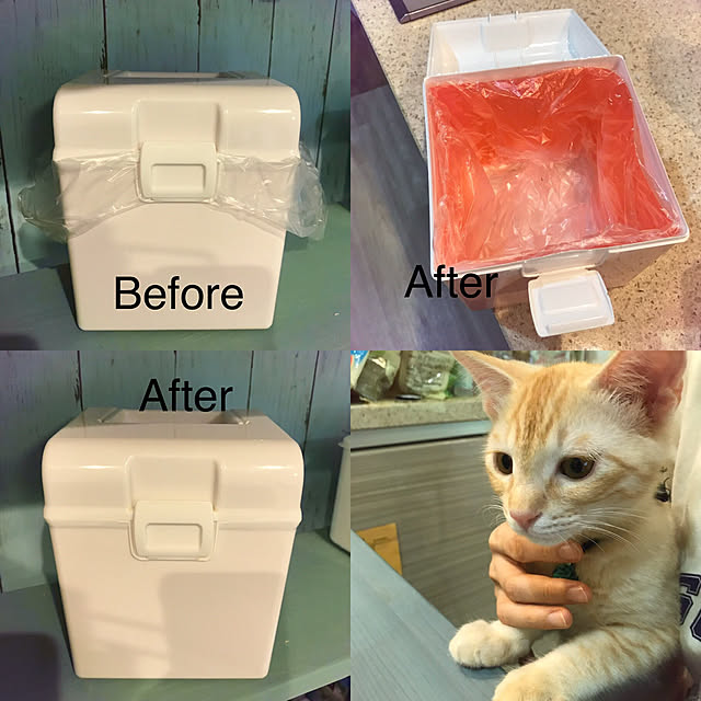 maisonさんの実例写真