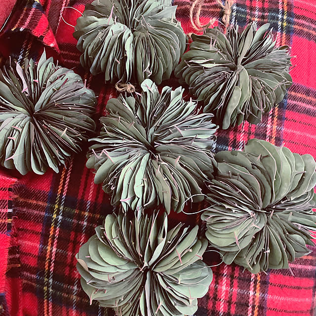 Mayuさんの実例写真