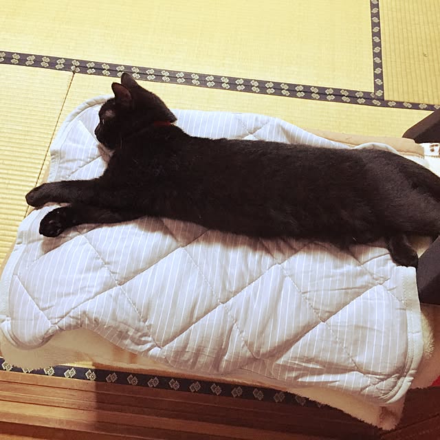 OmamekOさんの実例写真