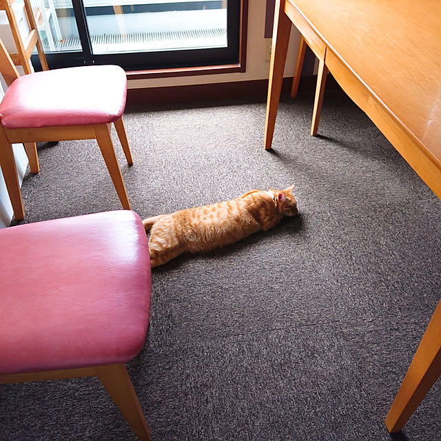 kikiさんの実例写真