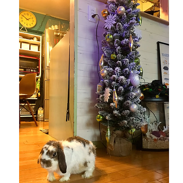 tarezo33さんの実例写真