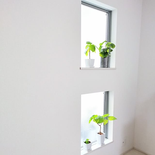 tamaさんの実例写真