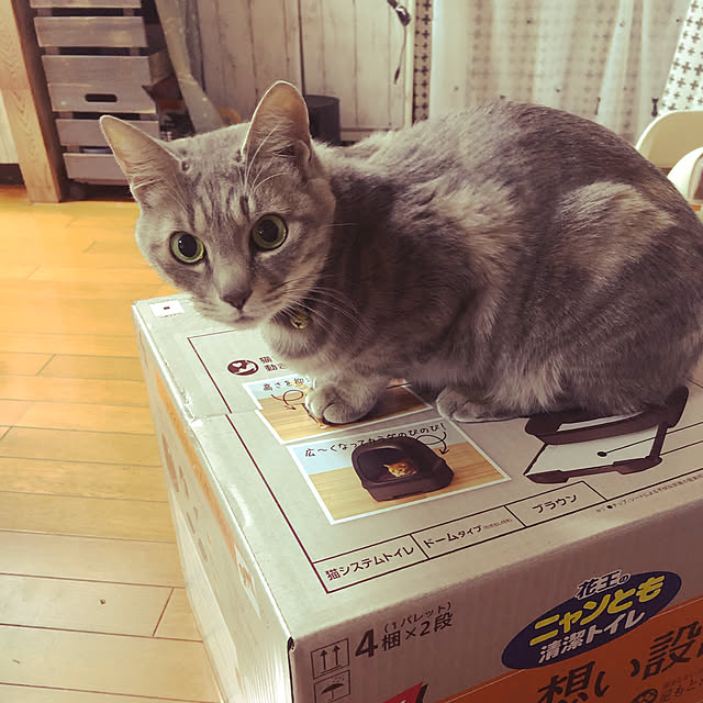 naworinさんの実例写真