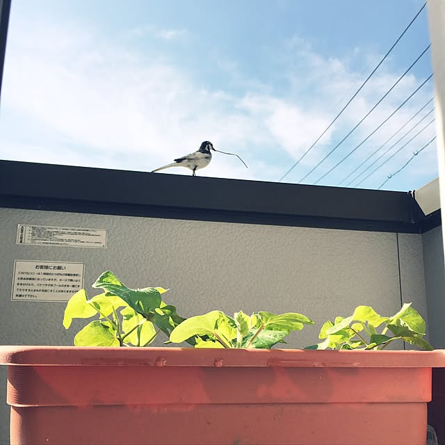 akkoman724さんの実例写真